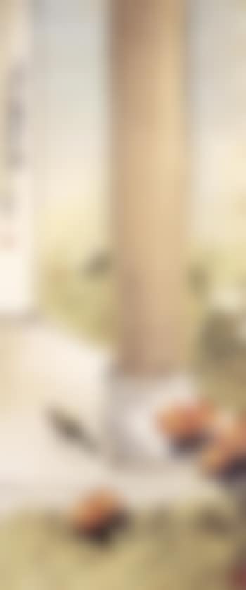 Bird in a garden (preview)