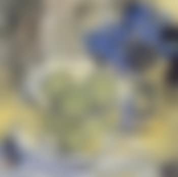 Still life (preview)