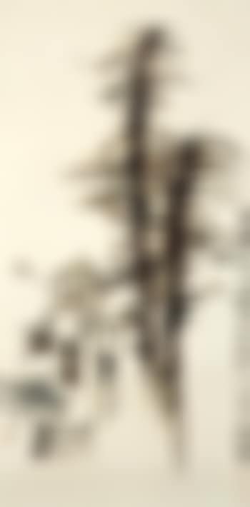 Silk cotton (preview)