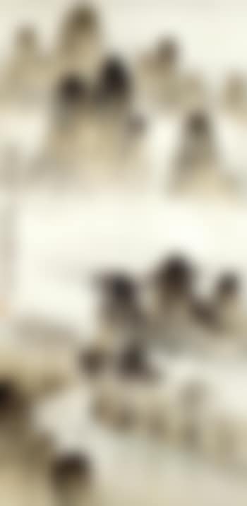 Misty landscape (preview)