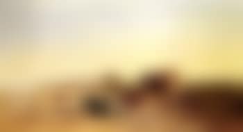Cattle resting in landscape (preview)