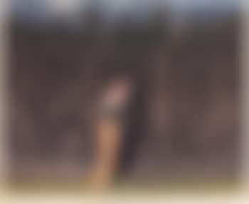 Zum Walde (preview)