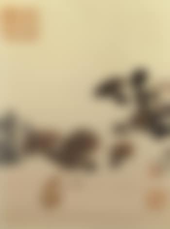 Mushrooms (preview)