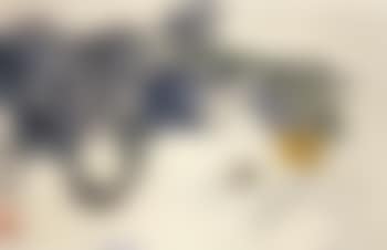 Circket and vegetable (preview)