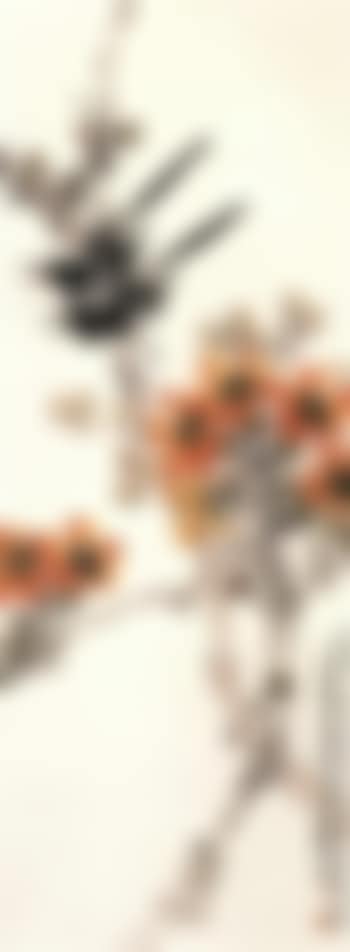 Magpie (preview)