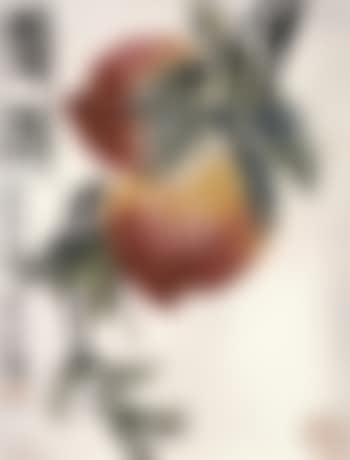 Double longevity (preview)