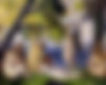 Cinq baigneuses sous des arbres (preview)