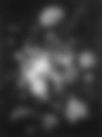 Floral still life of peonies, tulips with moths, snails (preview)