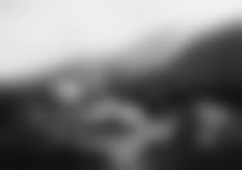 Sheep in mountain meadow (preview)