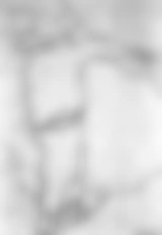 Man with trowel (preview)