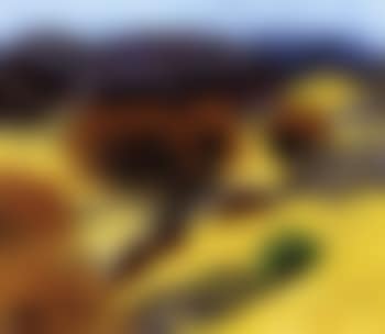 Autumn landscape (preview)