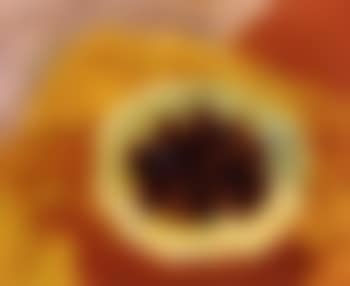 Still life (preview)