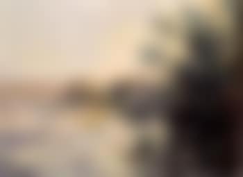 Effet du soir sur la Seine (preview)