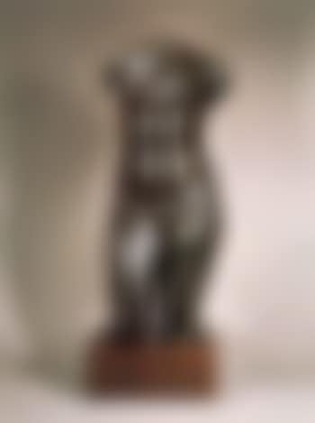 Torse de Marie (preview)