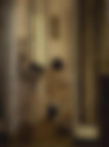 Femme a sa toilette (preview)