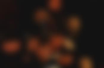 Vase de fleurs (preview)