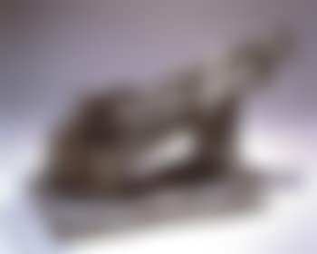 Warrior (preview)