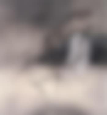 White egret (preview)