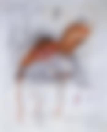 Leda and the swan (preview)