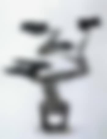 Bonsai tree (preview)