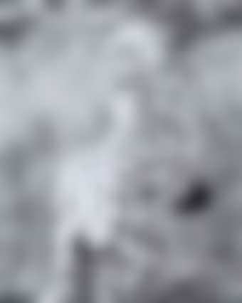 Harlequins (preview)