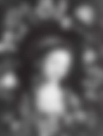 Garland of flowers surrounding the Head of the Virgin (preview)