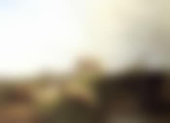 Sheep and goats in Dutch landscape (preview)