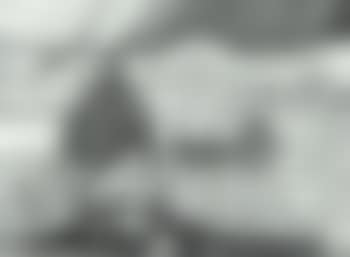 Testament in yellow (preview)