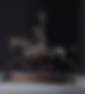 Equestrian group (preview)