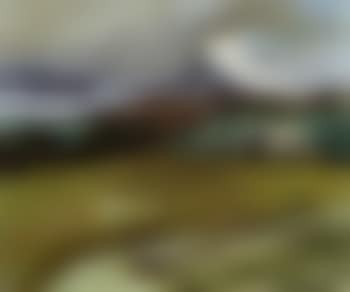 Cold fell (preview)