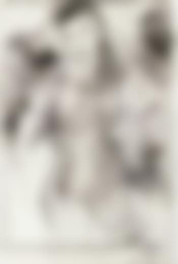 Femme nue debout (preview)