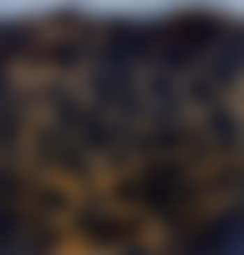 Arizona (preview)