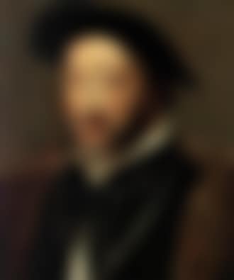 Portrait of Francois I, King of France, in black coat (preview)