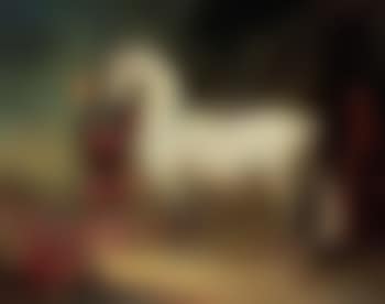 Arabian thoroughbred (preview)