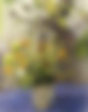 Flowers in vase (preview)