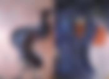 Akt und Stilleben (preview)