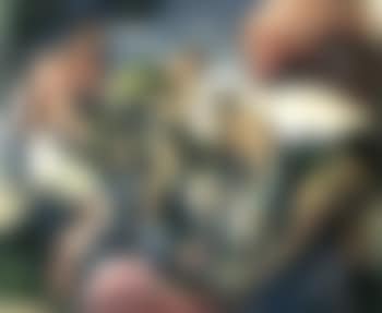 The harvest (preview)