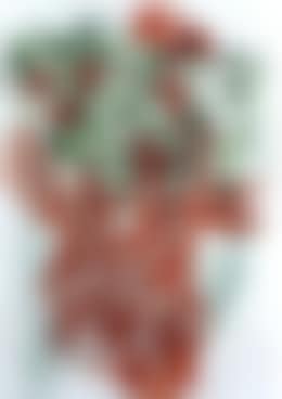 Untitled (preview)