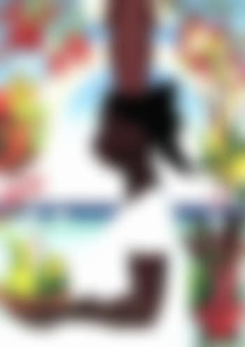 Joy of living (preview)