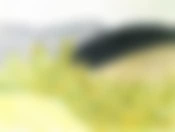 Landscape (preview)