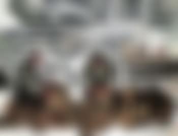 Nova Scotia fishermen (preview)