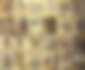 Twenty-four vignettes (preview)