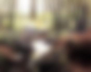 In the woods (preview)