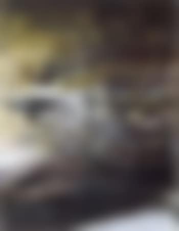 21.9.64 (preview)