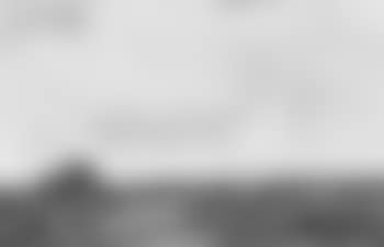 Herder and cattle in marshes (preview)