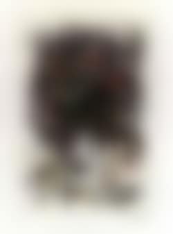 Fleurs d'art (preview)