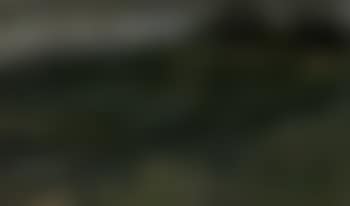 Landscape (preview)