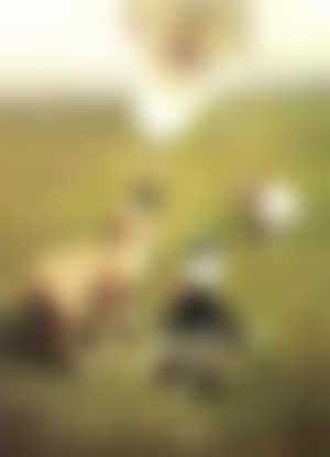 Up and away (preview)