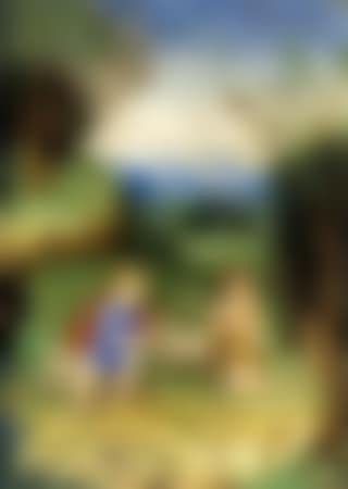 Jesus and infant St John in paradice landscape (preview)