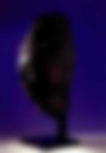 Head of a Buddha (preview)